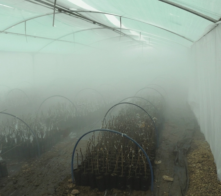 Premium industrial fogging and misting solutions for cooling and dust control in Hyderabad.